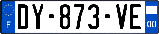 DY-873-VE