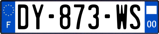 DY-873-WS