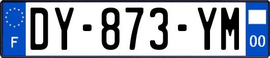 DY-873-YM