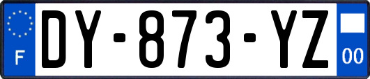 DY-873-YZ