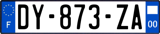 DY-873-ZA