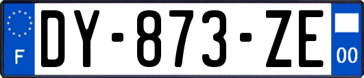 DY-873-ZE