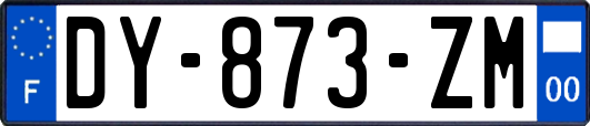 DY-873-ZM