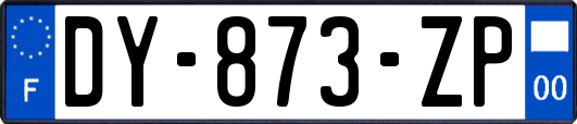 DY-873-ZP