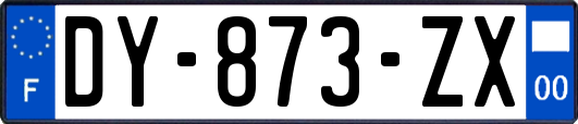 DY-873-ZX