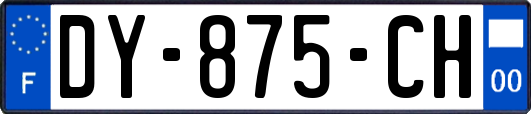 DY-875-CH