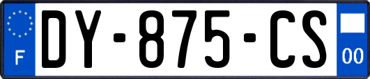 DY-875-CS