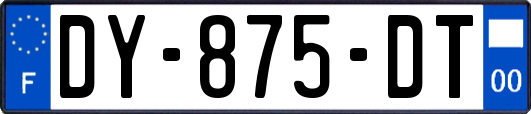 DY-875-DT