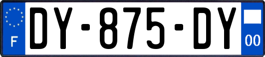 DY-875-DY