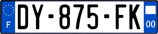 DY-875-FK