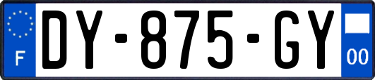 DY-875-GY