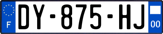 DY-875-HJ