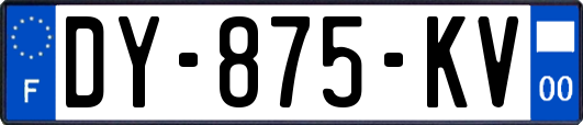 DY-875-KV