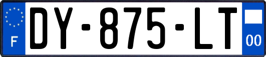DY-875-LT