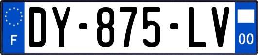 DY-875-LV