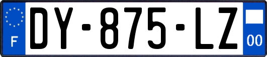 DY-875-LZ