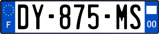 DY-875-MS