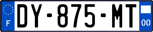 DY-875-MT