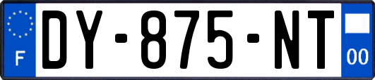 DY-875-NT