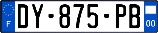 DY-875-PB