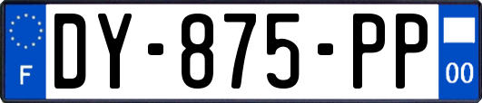 DY-875-PP