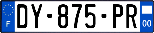 DY-875-PR