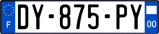 DY-875-PY