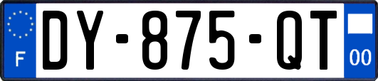 DY-875-QT