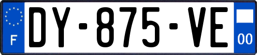 DY-875-VE