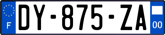DY-875-ZA