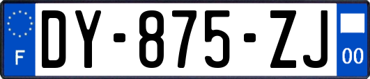 DY-875-ZJ