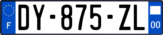 DY-875-ZL