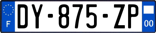 DY-875-ZP