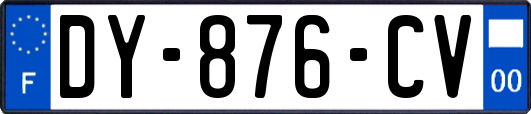 DY-876-CV