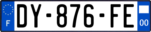 DY-876-FE