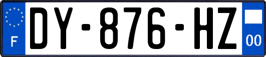 DY-876-HZ