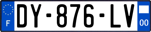 DY-876-LV