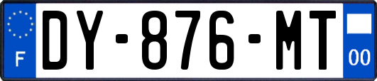 DY-876-MT