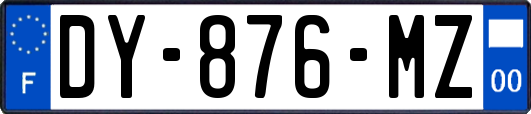 DY-876-MZ