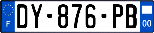 DY-876-PB