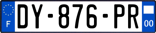 DY-876-PR
