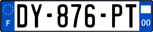 DY-876-PT