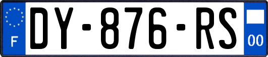 DY-876-RS