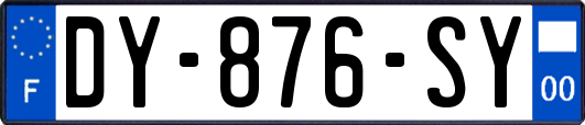 DY-876-SY