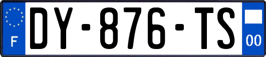 DY-876-TS