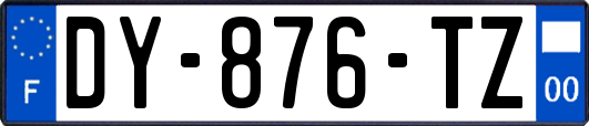 DY-876-TZ