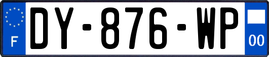 DY-876-WP