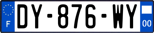 DY-876-WY