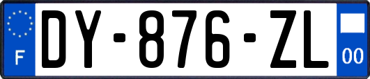 DY-876-ZL