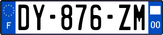 DY-876-ZM